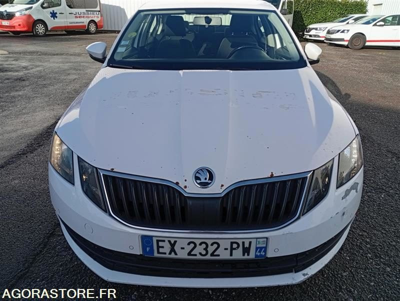 EX-232-PW - Non Roulant - SKODA OCTAVIA - VP - 482 393 Kms - Vieglā automašīna: foto 1 EX-232-PW - Non Roulant - SKODA OCTAVIA - VP - 482 393 Kms - Vieglā automašīna: foto 1