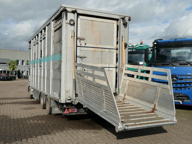Bannas AT 24.83, 3 Etagen, Schweine, Liftachse - Piekabe dzīvnieku pārvadāšanai: foto 5 Bannas AT 24.83, 3 Etagen, Schweine, Liftachse - Piekabe dzīvnieku pārvadāšanai: foto 5