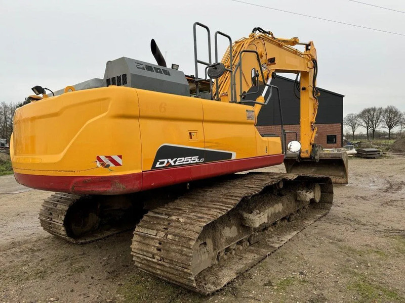 Doosan DX255LC-5 2015 10800 hr STRAIGHT FROM WORK ! DUTCH MACHINE ! - Kāpurķēžu ekskavators: foto 4 Doosan DX255LC-5 2015 10800 hr STRAIGHT FROM WORK ! DUTCH MACHINE ! - Kāpurķēžu ekskavators: foto 4