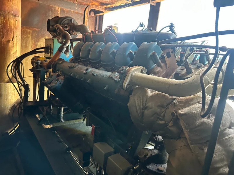 Elektroģenerators MAN Stamford 275 kVA Silent Gas generatorset in container: foto 18