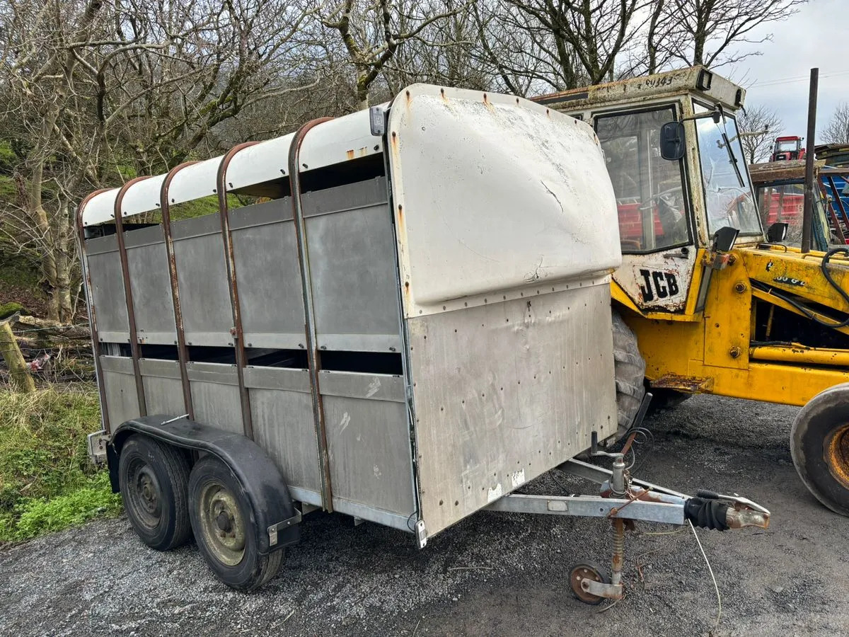 10X6 Ivor Williams - Piekabe dzīvnieku pārvadāšanai: foto 1 10X6 Ivor Williams - Piekabe dzīvnieku pārvadāšanai: foto 1