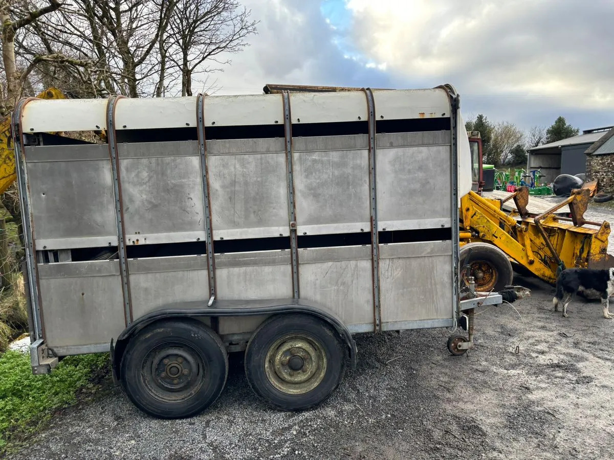 10X6 Ivor Williams - Piekabe dzīvnieku pārvadāšanai: foto 2 10X6 Ivor Williams - Piekabe dzīvnieku pārvadāšanai: foto 2