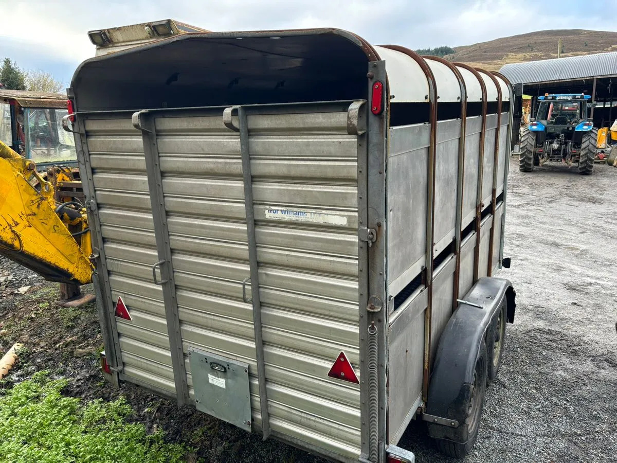 10X6 Ivor Williams - Piekabe dzīvnieku pārvadāšanai: foto 5 10X6 Ivor Williams - Piekabe dzīvnieku pārvadāšanai: foto 5