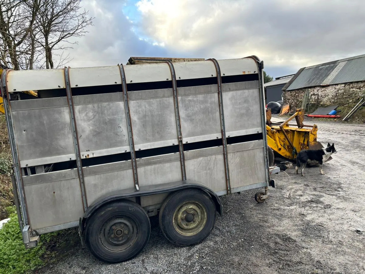 10X6 Ivor Williams - Piekabe dzīvnieku pārvadāšanai: foto 4 10X6 Ivor Williams - Piekabe dzīvnieku pārvadāšanai: foto 4