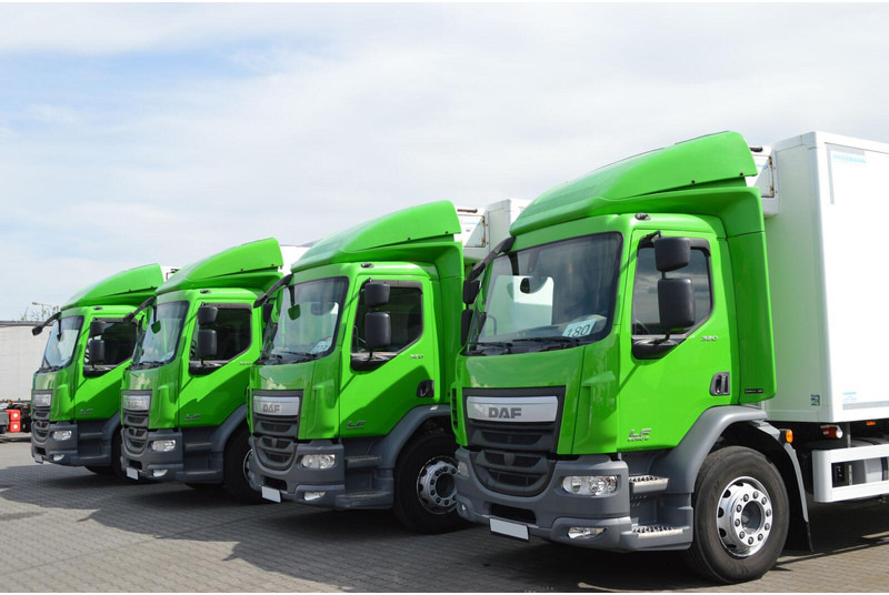 DAF LF 320 - Kravas automašīna refrižerators: foto 3 DAF LF 320 - Kravas automašīna refrižerators: foto 3