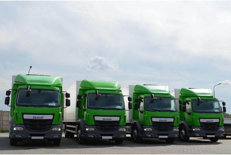 DAF LF 320 - Kravas automašīna refrižerators: foto 2 DAF LF 320 - Kravas automašīna refrižerators: foto 2