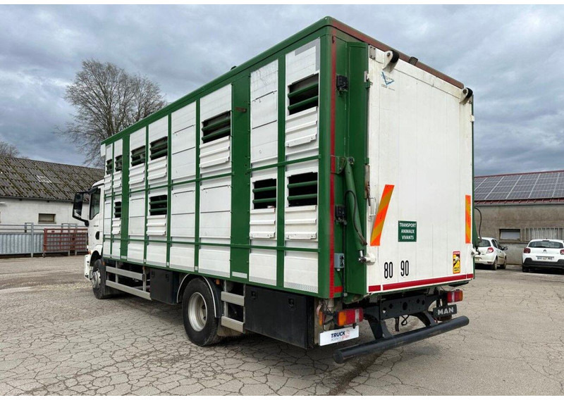 MAN TGM 15.290 Livestock Double Deck - Kravas automašīna dzīvnieku pārvadāšanai: foto 5 MAN TGM 15.290 Livestock Double Deck - Kravas automašīna dzīvnieku pārvadāšanai: foto 5