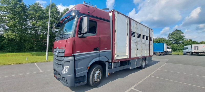 Mercedes-Benz Actros 1851 - Kravas automašīna dzīvnieku pārvadāšanai: foto 1 Mercedes-Benz Actros 1851 - Kravas automašīna dzīvnieku pārvadāšanai: foto 1