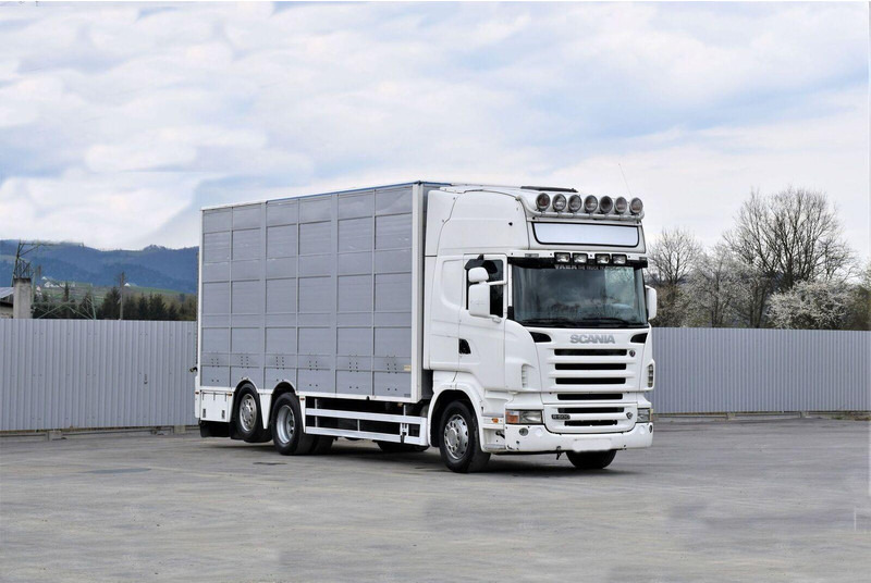 Scania R 500 - Kravas automašīna dzīvnieku pārvadāšanai: foto 2 Scania R 500 - Kravas automašīna dzīvnieku pārvadāšanai: foto 2
