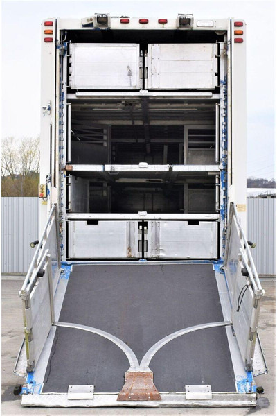 Scania R 500 - Kravas automašīna dzīvnieku pārvadāšanai: foto 4 Scania R 500 - Kravas automašīna dzīvnieku pārvadāšanai: foto 4