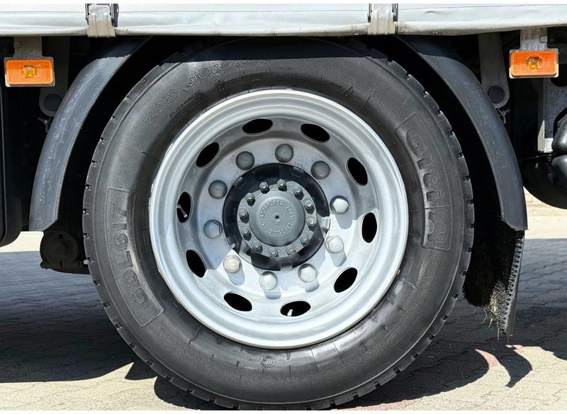 Vilcējs Renault T 380: foto 13