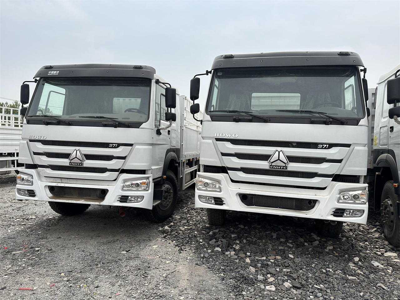 SINOTRUK HOWO 371 Cargo truck - Kravas automašīna dzīvnieku pārvadāšanai: foto 1 SINOTRUK HOWO 371 Cargo truck - Kravas automašīna dzīvnieku pārvadāšanai: foto 1