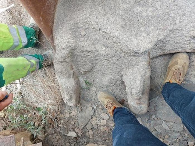 Ekskavatora kauss Liebherr SW77 - R954C: foto 7