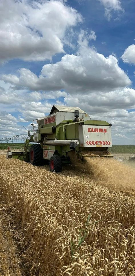 Claas MEGA 218 - Labības kombains: foto 5 Claas MEGA 218 - Labības kombains: foto 5