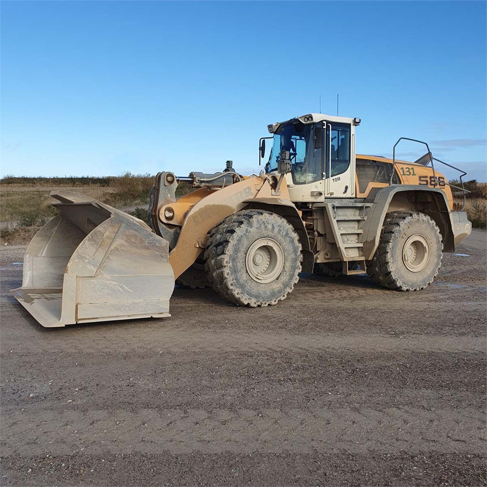 Riteņu iekrāvējs Liebherr L586 XPower: foto 10