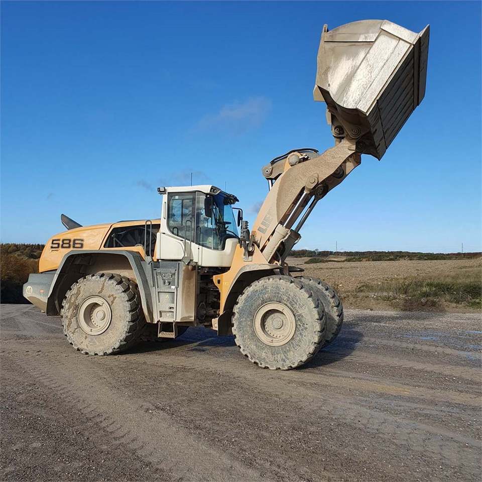 Riteņu iekrāvējs Liebherr L586 XPower: foto 14