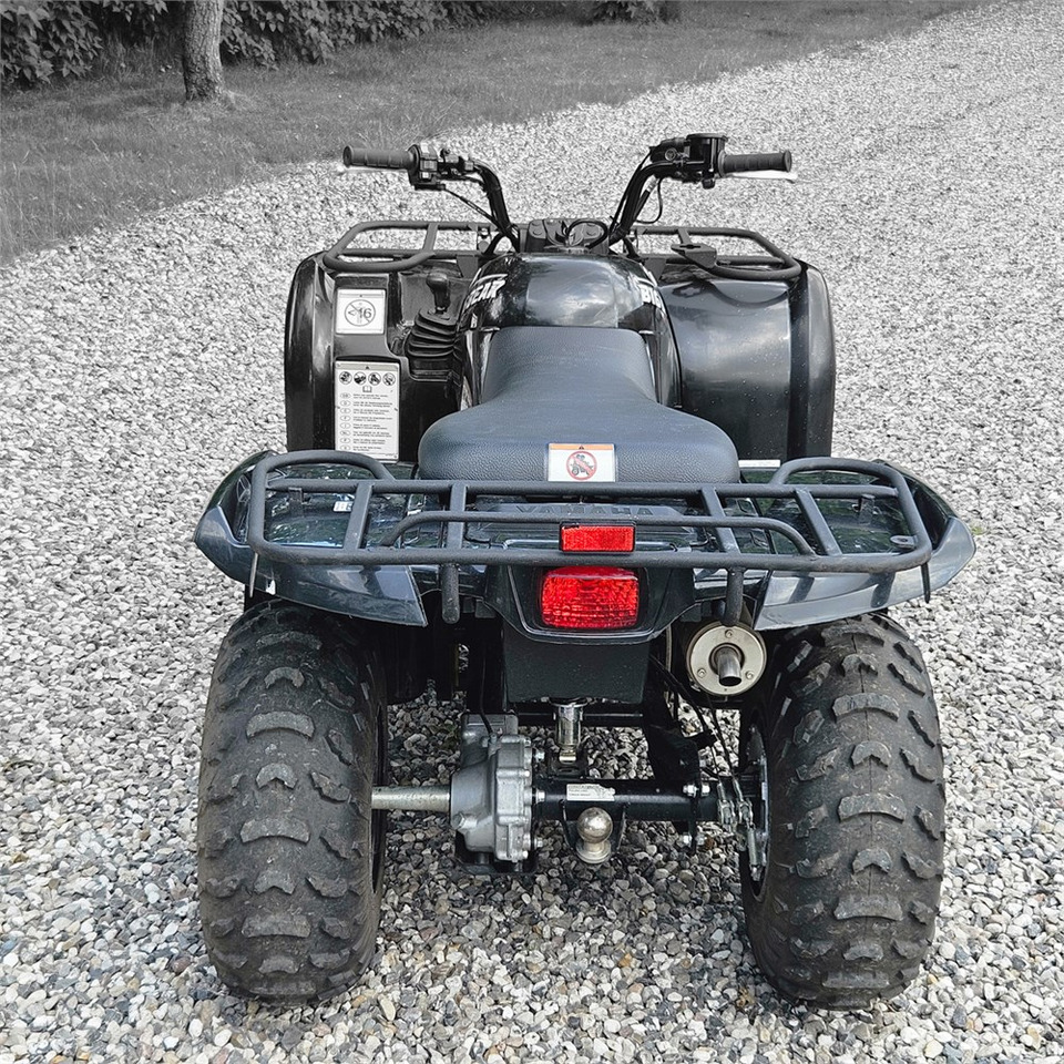 Yamaha YFM 250 - Kvadricikls: foto 5 Yamaha YFM 250 - Kvadricikls: foto 5