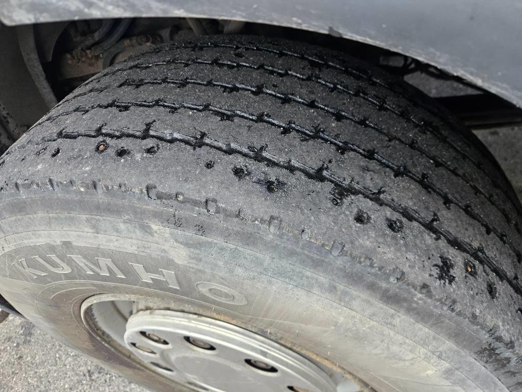 Pacēlājs ar āķi Scania R164 6m taittokoukku: foto 8