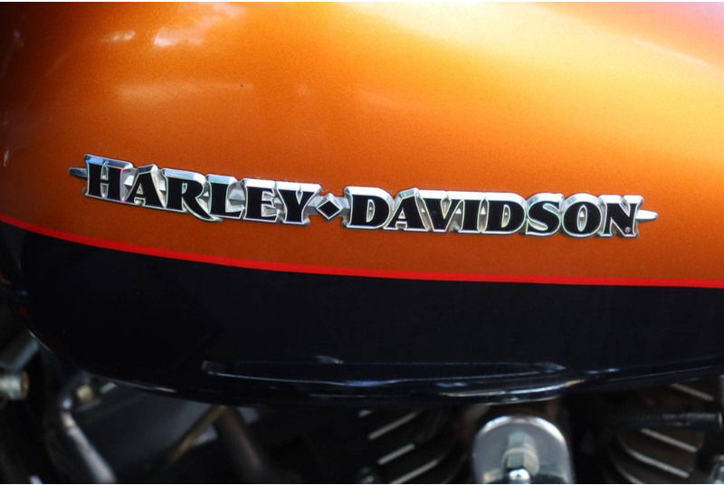 Motocikls Harley-Davidson Limited: foto 18