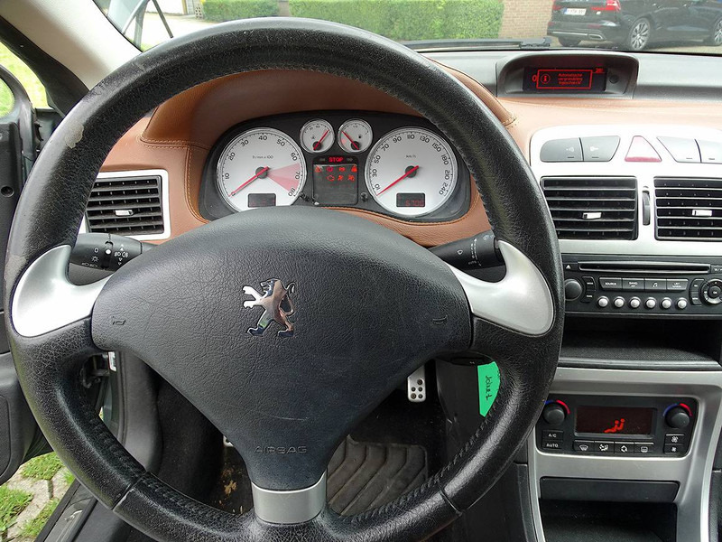 Sedans Peugeot 307 CC 1.6i: foto 20