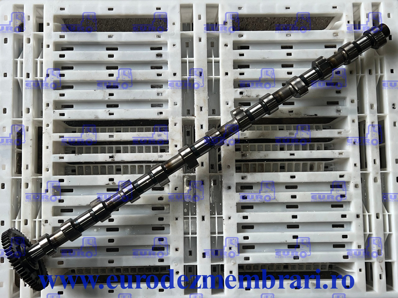AX CU CAME MAN TGX D3876 51.04400.6059 - Sadales vārpsta - Kravas automašīna: foto 1 AX CU CAME MAN TGX D3876 51.04400.6059 - Sadales vārpsta - Kravas automašīna: foto 1