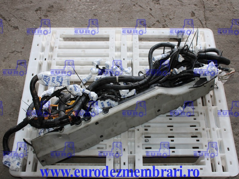 INSTALATIE ELECTRICA MOTOR MAN D2676 LF51 81.25459.6956 - Kabeļis/ Vadis - Kravas automašīna: foto 1 INSTALATIE ELECTRICA MOTOR MAN D2676 LF51 81.25459.6956 - Kabeļis/ Vadis - Kravas automašīna: foto 1
