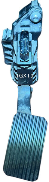 MAN 2019 - Pedālis: foto 2 MAN 2019 - Pedālis: foto 2