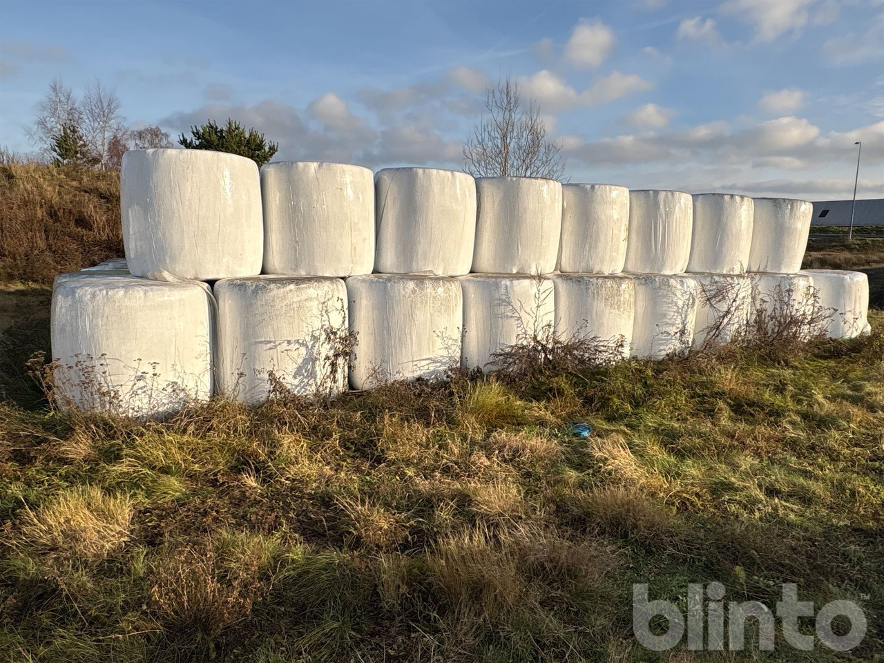 1:a skörd - Lopbarības sagatavošanas tehnika: foto 5 1:a skörd - Lopbarības sagatavošanas tehnika: foto 5