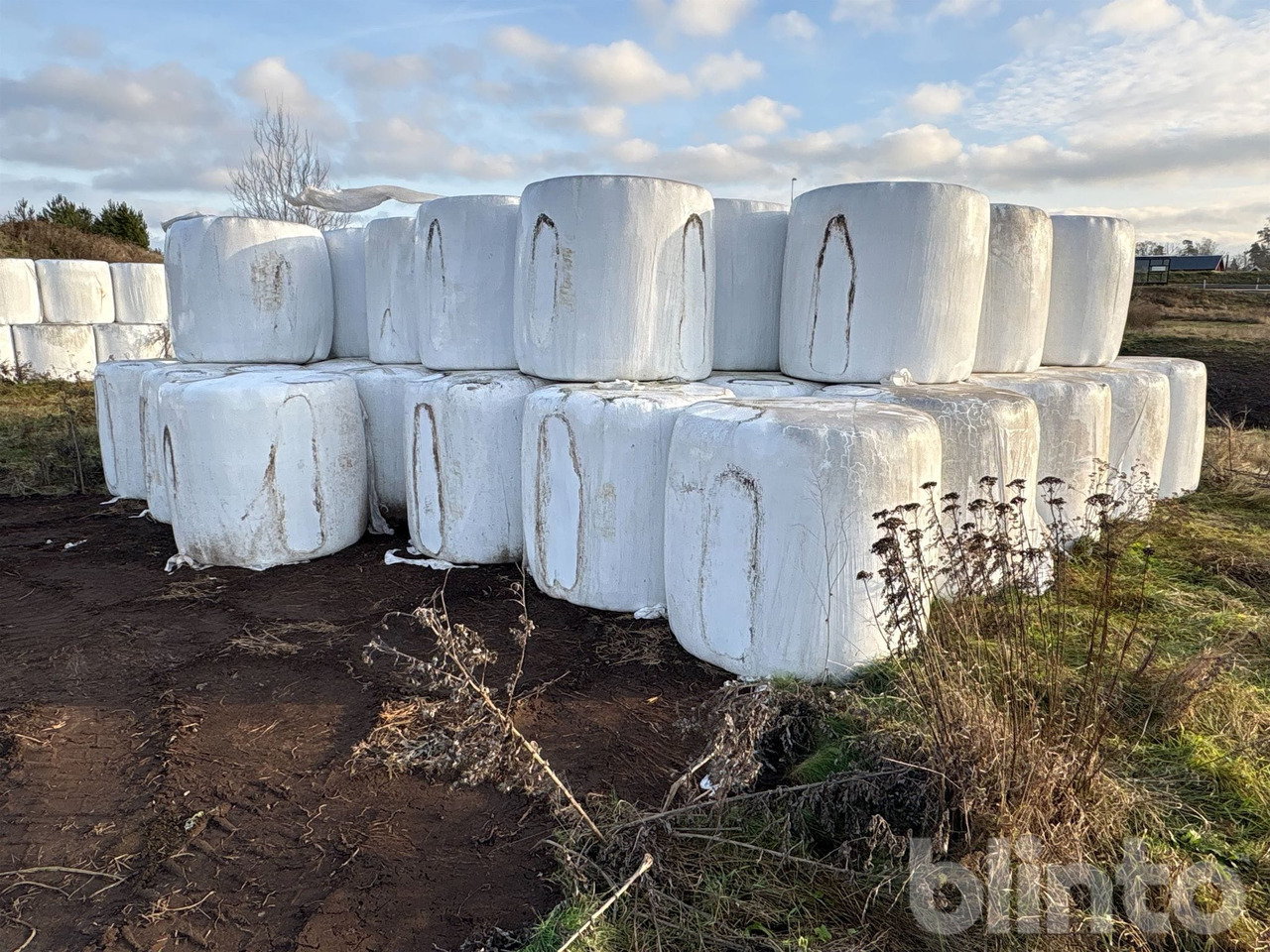 1:a skörd - Lopbarības sagatavošanas tehnika: foto 2 1:a skörd - Lopbarības sagatavošanas tehnika: foto 2