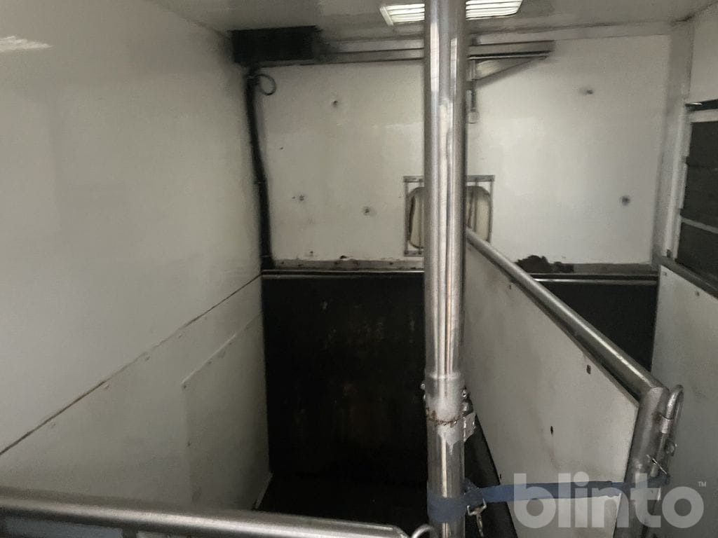 Zirgu kravas automašīna MERCEDES-BENZ 316 CDI: foto 28