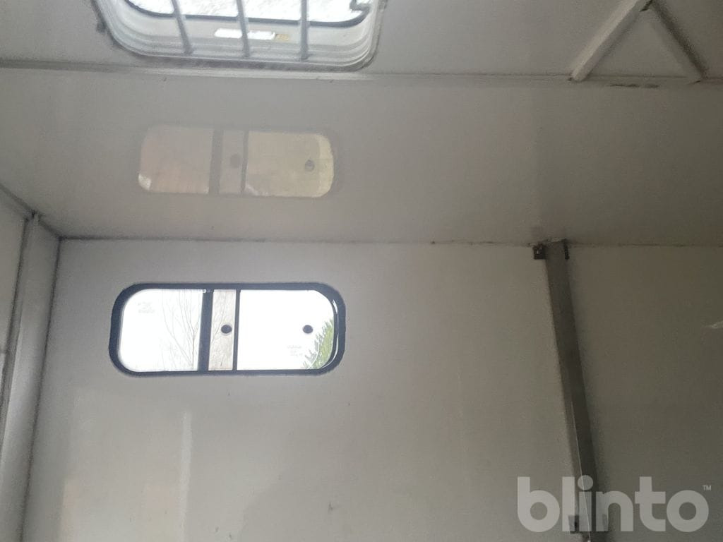 Zirgu kravas automašīna MERCEDES-BENZ 316 CDI: foto 31