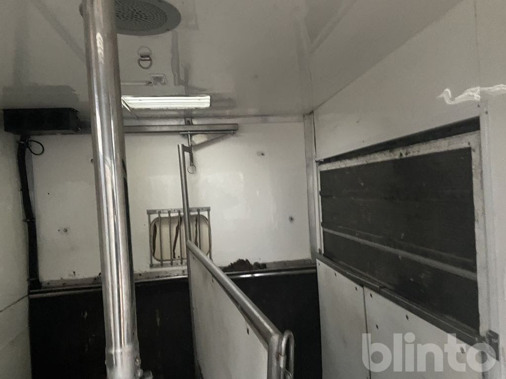 Zirgu kravas automašīna MERCEDES-BENZ 316 CDI: foto 29