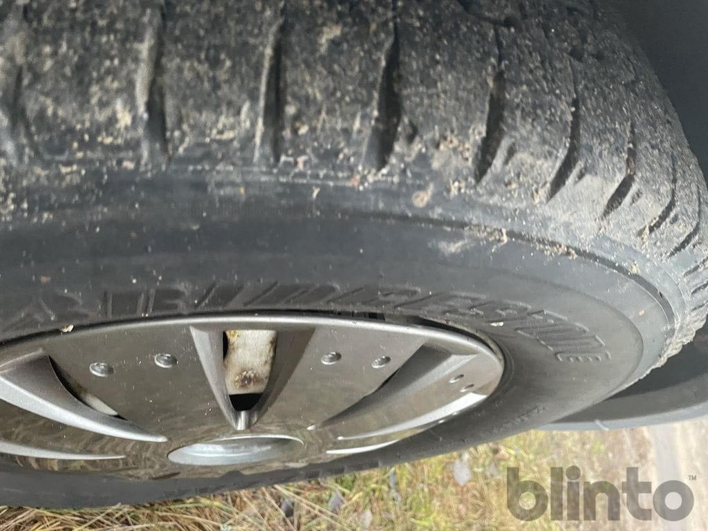 Zirgu kravas automašīna MERCEDES-BENZ 316 CDI: foto 18