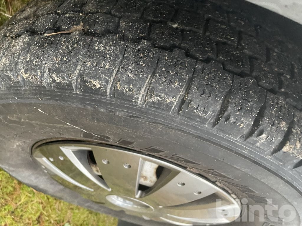 Zirgu kravas automašīna MERCEDES-BENZ 316 CDI: foto 19