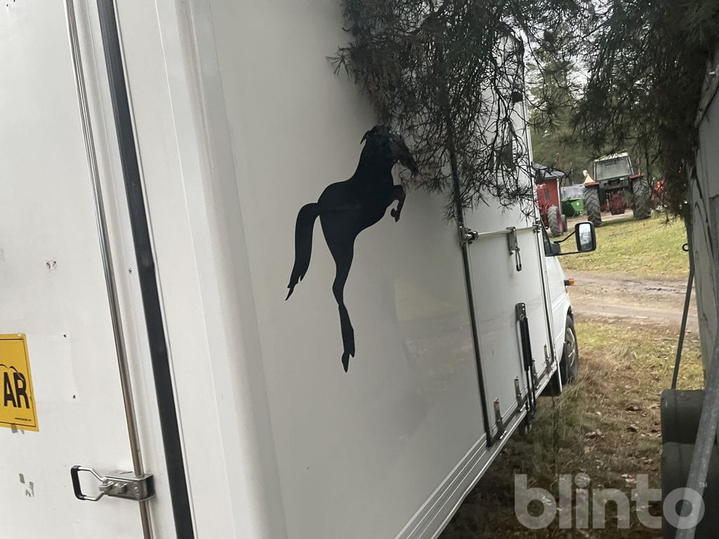 Zirgu kravas automašīna MERCEDES-BENZ 316 CDI: foto 33