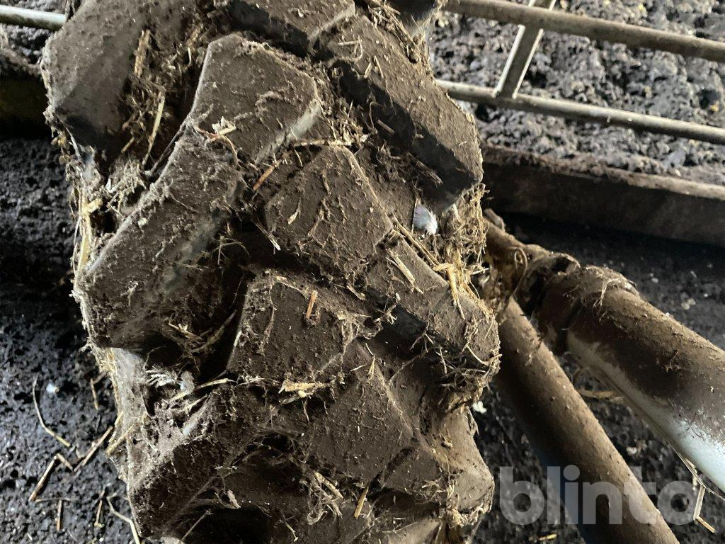 Överum - Arkls: foto 5 Överum - Arkls: foto 5