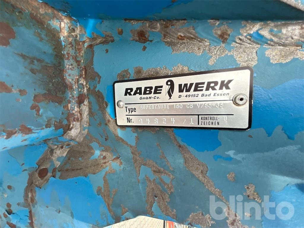 Rabe Supertaube - Arkls: foto 5 Rabe Supertaube - Arkls: foto 5