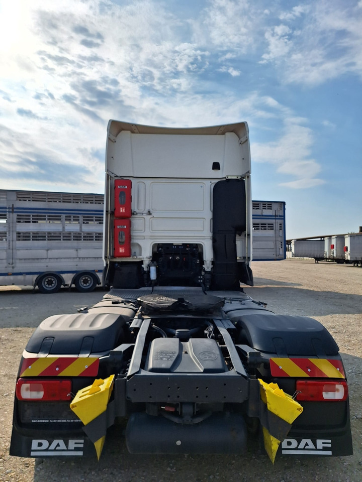 Jaunā Vilcējs DAF XF 480: foto 6
